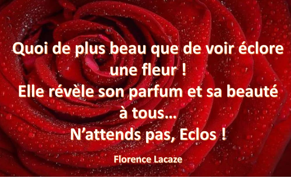 Quoi de plus beau que de voir éclore une fleur ! Elle révèle son parfum et sa beauté à tous … N’attends pas, éclos !