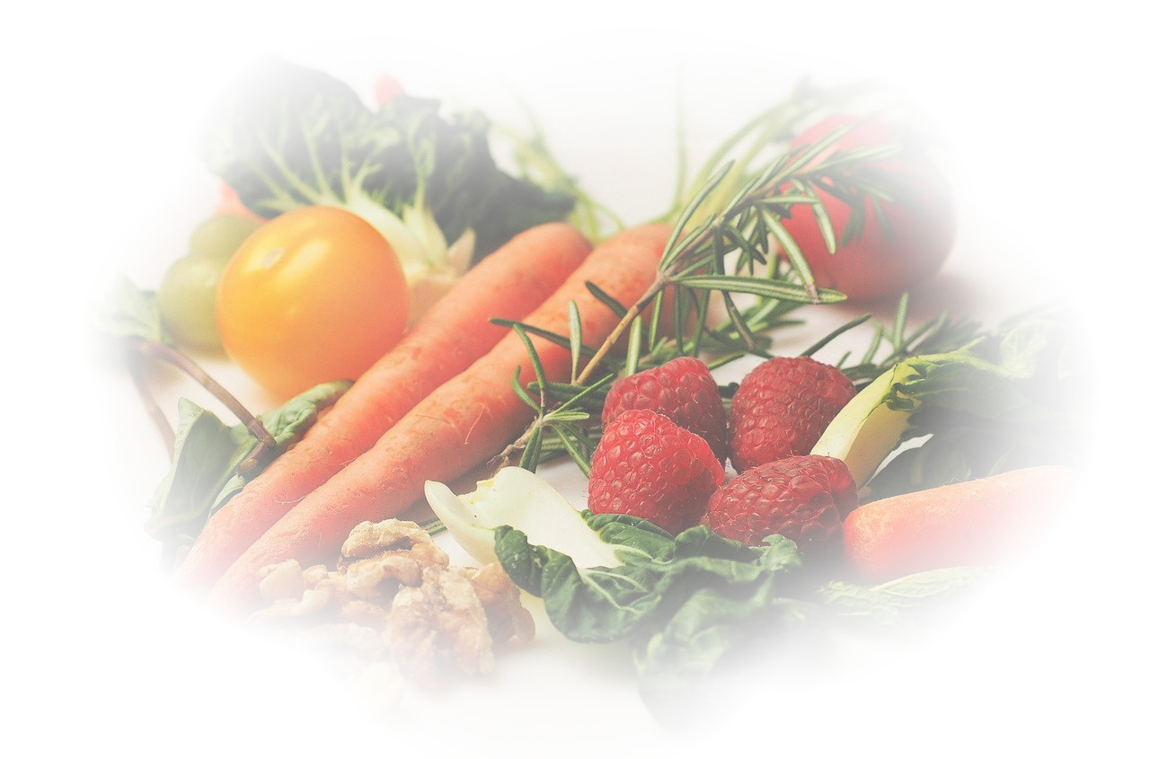 legumes-nutrition-seances-florence-lacaze-1