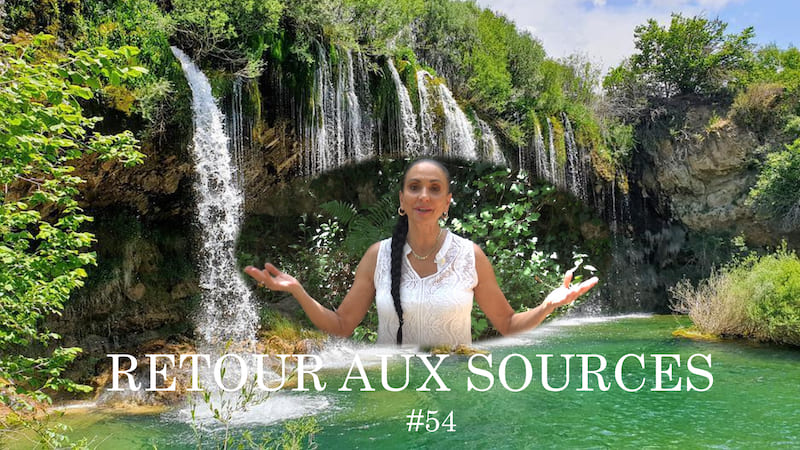 Retour aux sources