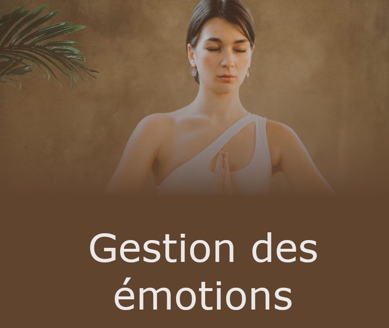 Workshop Yoga Gestion des émotions – Samedi 8 octobre 2022 – 17h-19h (Zoom)