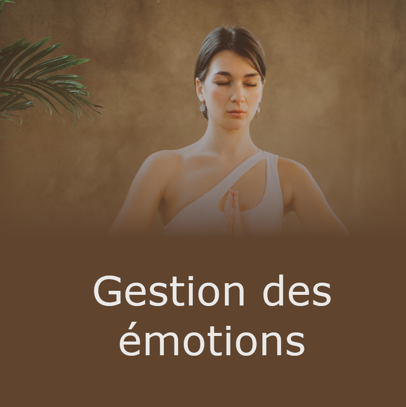Workshop Yoga Gestion des émotions - Samedi 8 octobre 2022 - 17h-19h (Zoom)