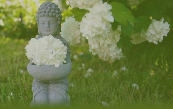 Dimanche Yoga Méditation Nature avec Florence Lacaze