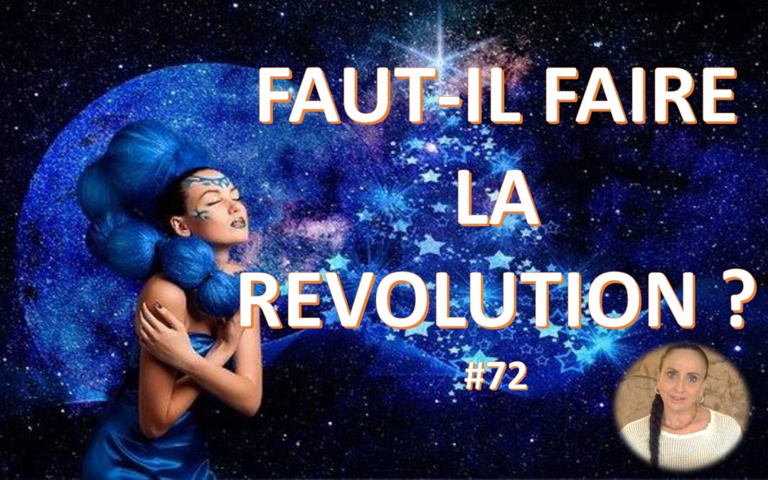 Faut-il faire la Révolution ?