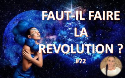 Faut-il faire la Révolution ?