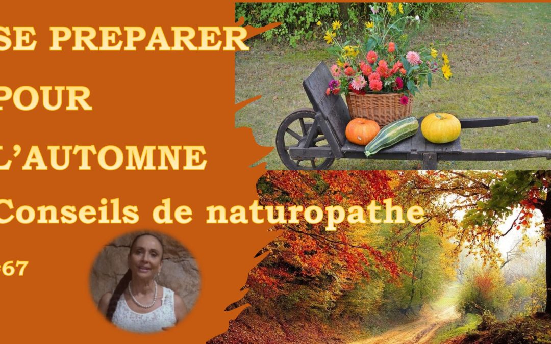 Se préparer au froid – Conseils de naturopathe