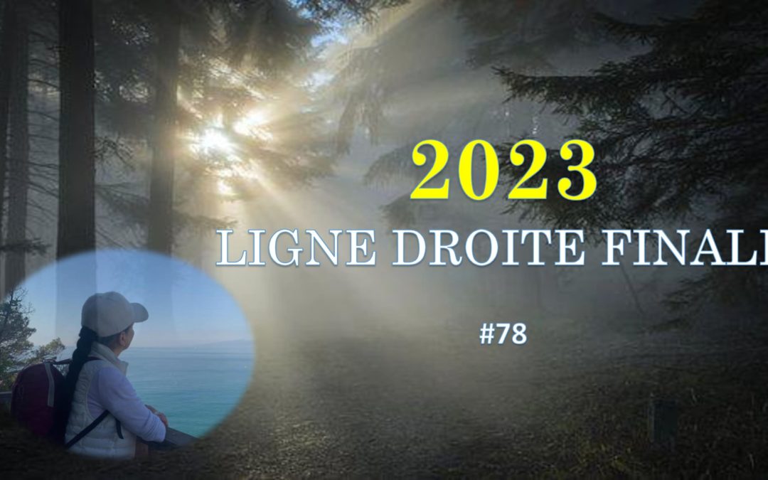 2023 : La ligne droite finale !