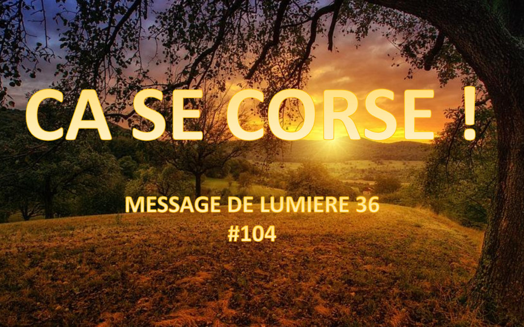 Ca se corse ! ML36