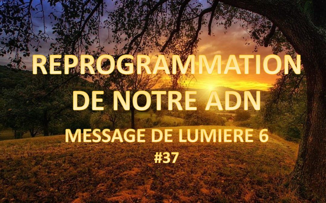 Reprogrammation de notre ADN – Message de Lumière 6