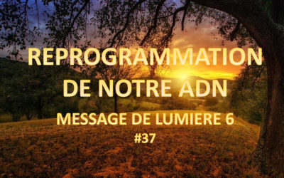 Reprogrammation de notre ADN – Message de Lumière 6
