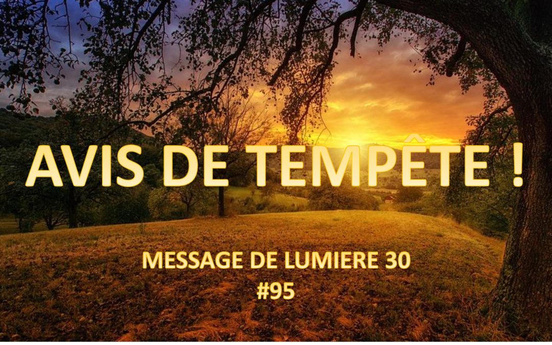 Avis Tempête