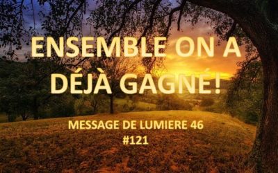 Ensemble on a deja gagné. ML 46