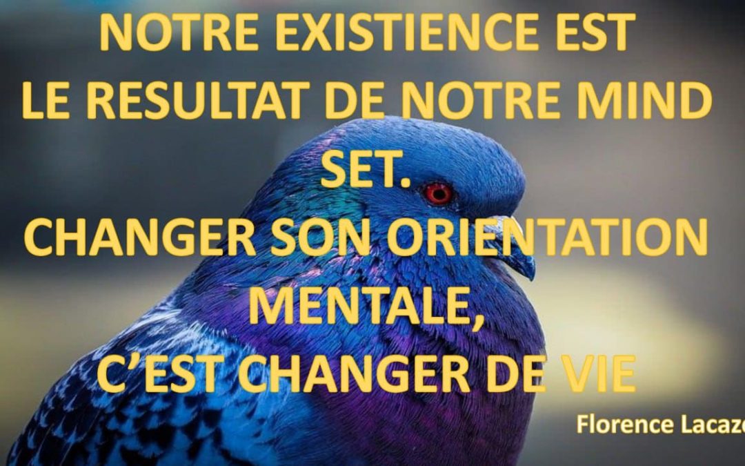 NOTRE EXISTIENCE EST LE RESULTAT DE NOTRE MIND SET. CHANGER SON ORIENTATION MENTALE, C’EST CHANGER DE VIE